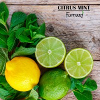 Табак Fumari Цитрусовые с мятой (Citrus Mint), 100 грамм